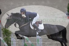 ref. photo 3370698