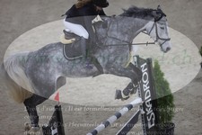 ref. photo 3371109