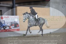 ref. photo 3371116