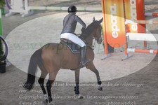 ref. photo 3371141