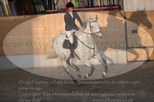ref. photo 3371193