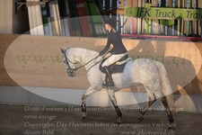 ref. photo 3371196