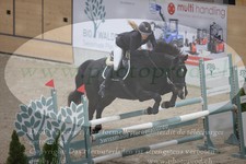 ref. photo 3371218