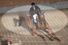ref. photo 3371339