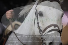 ref. photo 3371352