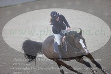ref. photo 3371401