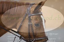 ref. photo 3371497