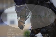 ref. photo 3371534