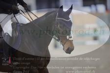 ref. photo 3371541