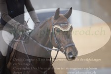 ref. photo 3371607