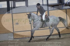 ref. photo 3371629