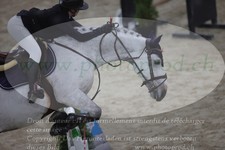 ref. photo 3371649