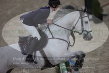 ref. photo 3371699