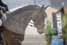 ref. photo 3371710