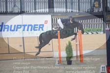 ref. photo 3371804