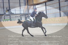 ref. photo 3371809