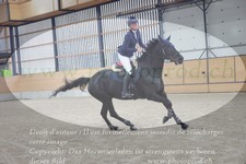 ref. photo 3371810