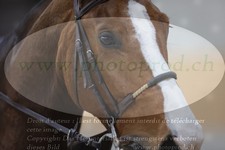ref. photo 3371831