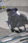 ref. photo 3371867