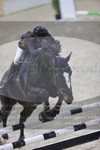 ref. photo 3371870