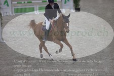 ref. photo 3371893