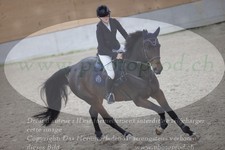 ref. photo 3371901