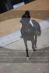 ref. photo 3371915
