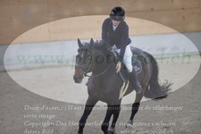 ref. photo 3371950