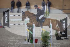 ref. photo 3372069