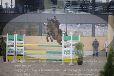 ref. photo 3372140
