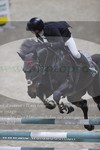 ref. photo 3372211