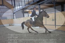 ref. photo 3372407