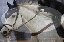 ref. photo 3372591