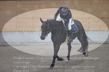 ref. photo 3372779