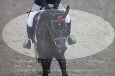 ref. photo 3372781