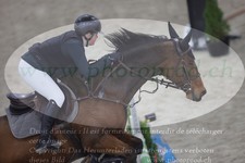 ref. photo 3372796