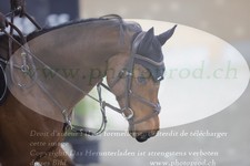 ref. photo 3372806