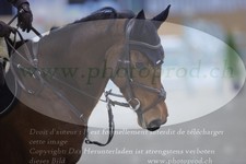 ref. photo 3372807