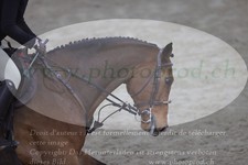 ref. photo 3372854