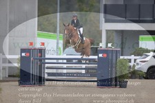 ref. photo 3347038