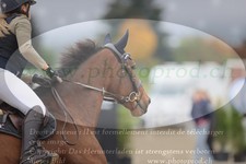 ref. photo 3347048