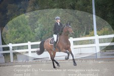 ref. photo 3347130