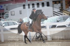 ref. photo 3347134