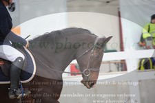 ref. photo 3347181