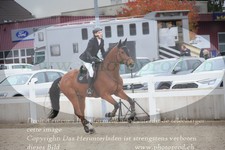 ref. photo 3347318