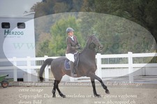 ref. photo 3347344