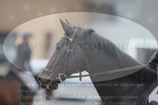 ref. photo 3347355