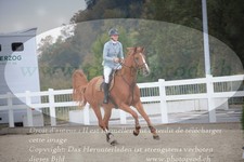 ref. photo 3347417