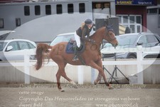 ref. photo 3347504
