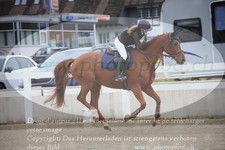 ref. photo 3347505